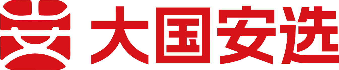 大国安选
